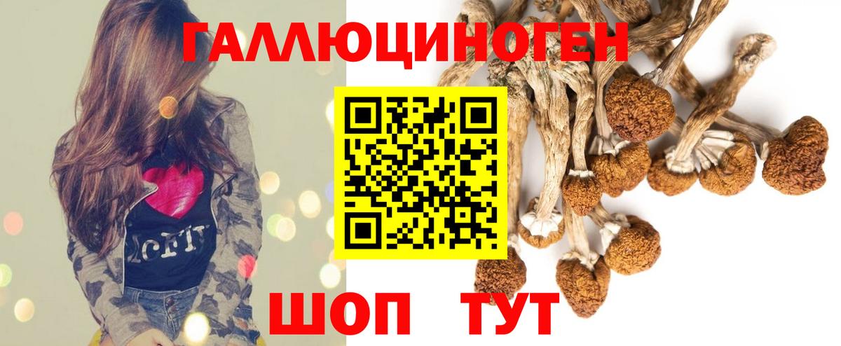 Галлюциногенные грибы мицелий Дивногорск